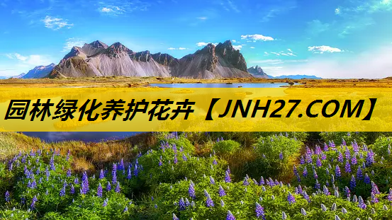 园林绿化养护花卉