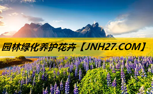 园林绿化养护花卉