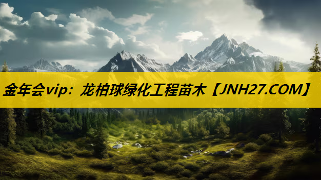 龙柏球绿化工程苗木