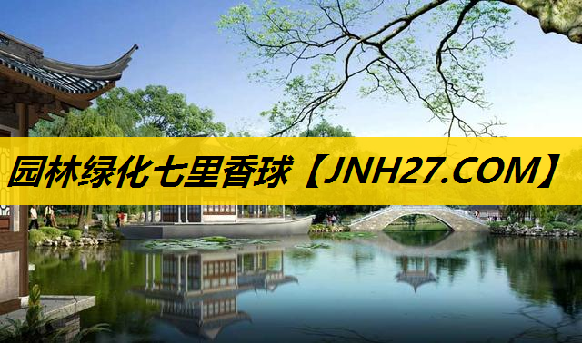 园林绿化七里香球