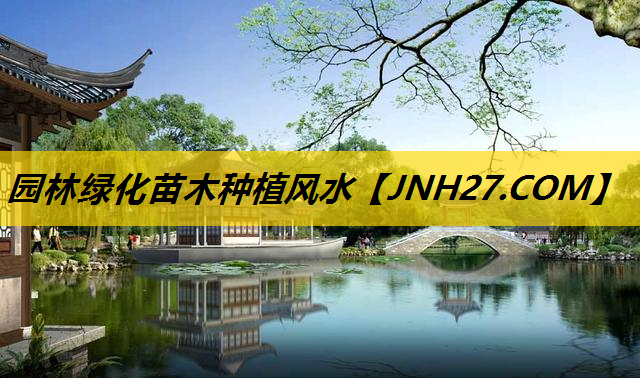 园林绿化苗木种植风水